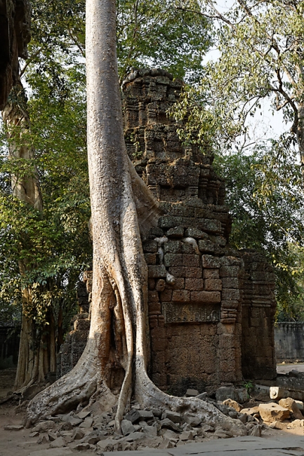 Ta Phrom et environs-105